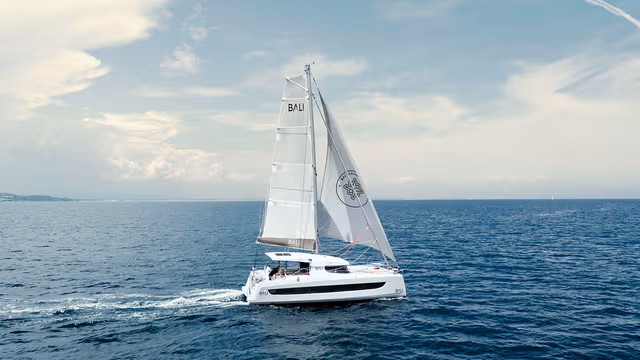 6_Catsmart_in_navigation_7a8c0af807