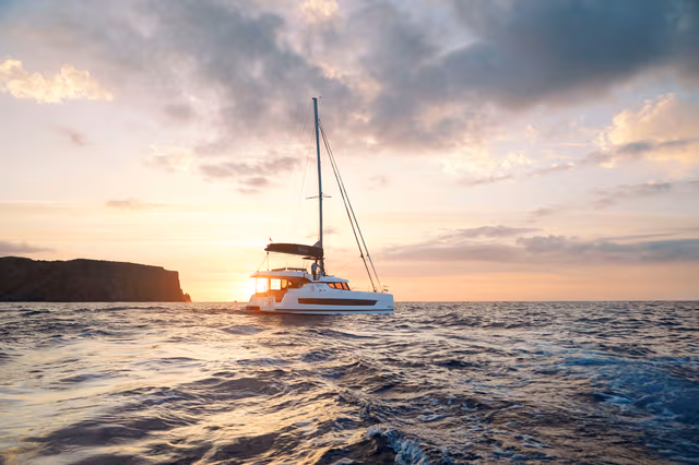 6_Catspace_with_sunset_91c499f313